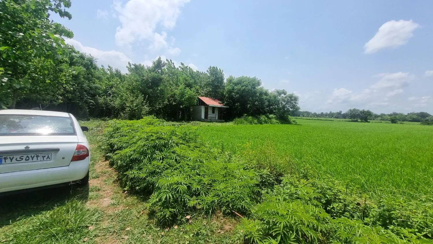 تصویر املاک 58224