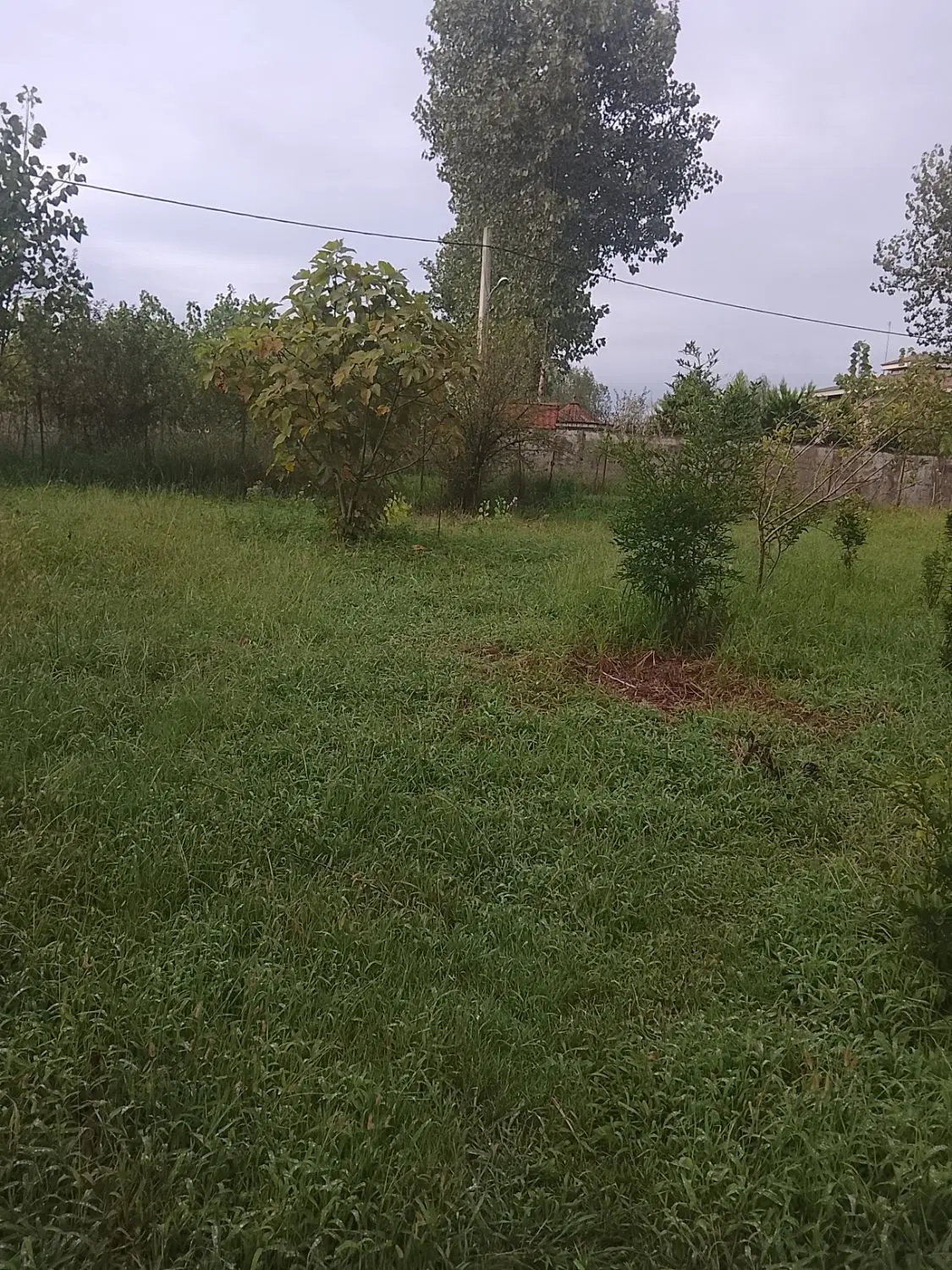 تصویر املاک 121447