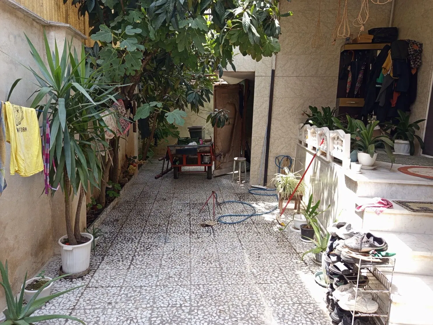 تصویر املاک 119781