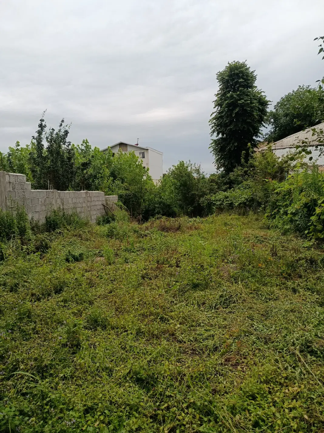 تصویر املاک 105263