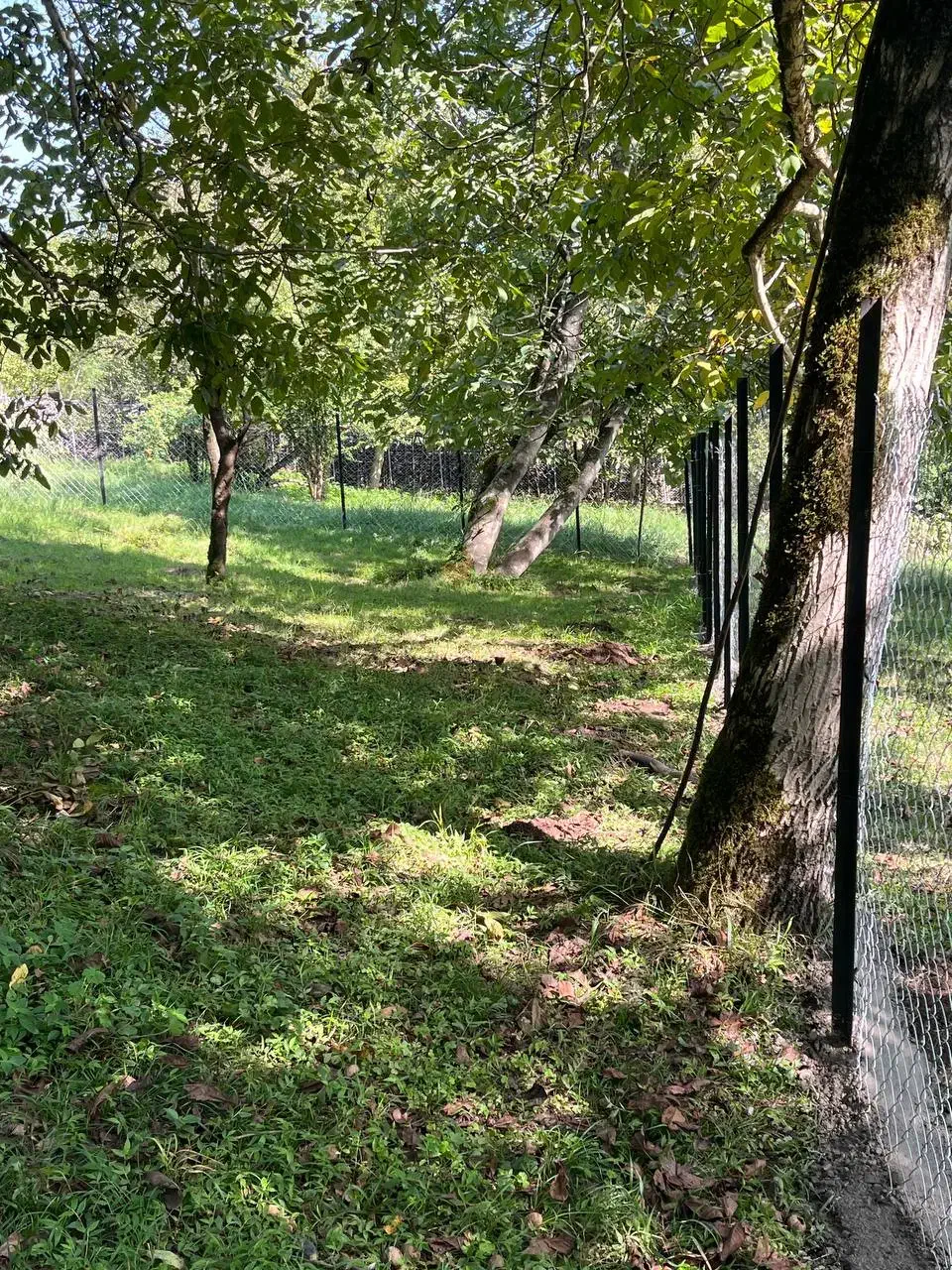 تصویر املاک 4882