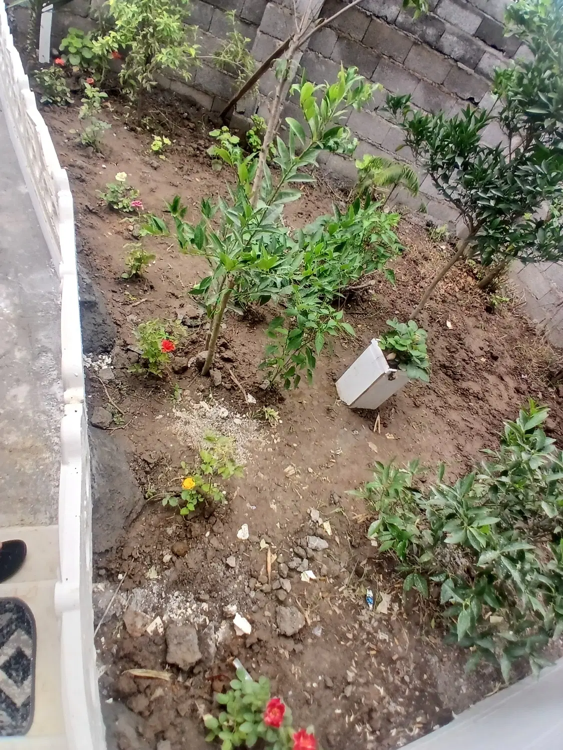 تصویر املاک 65285