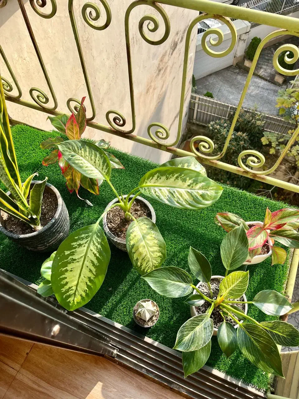 تصویر املاک 23025