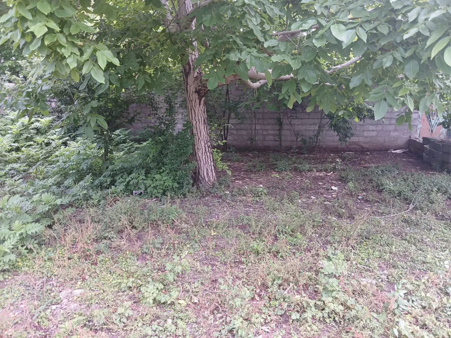 تصویر املاک 34394