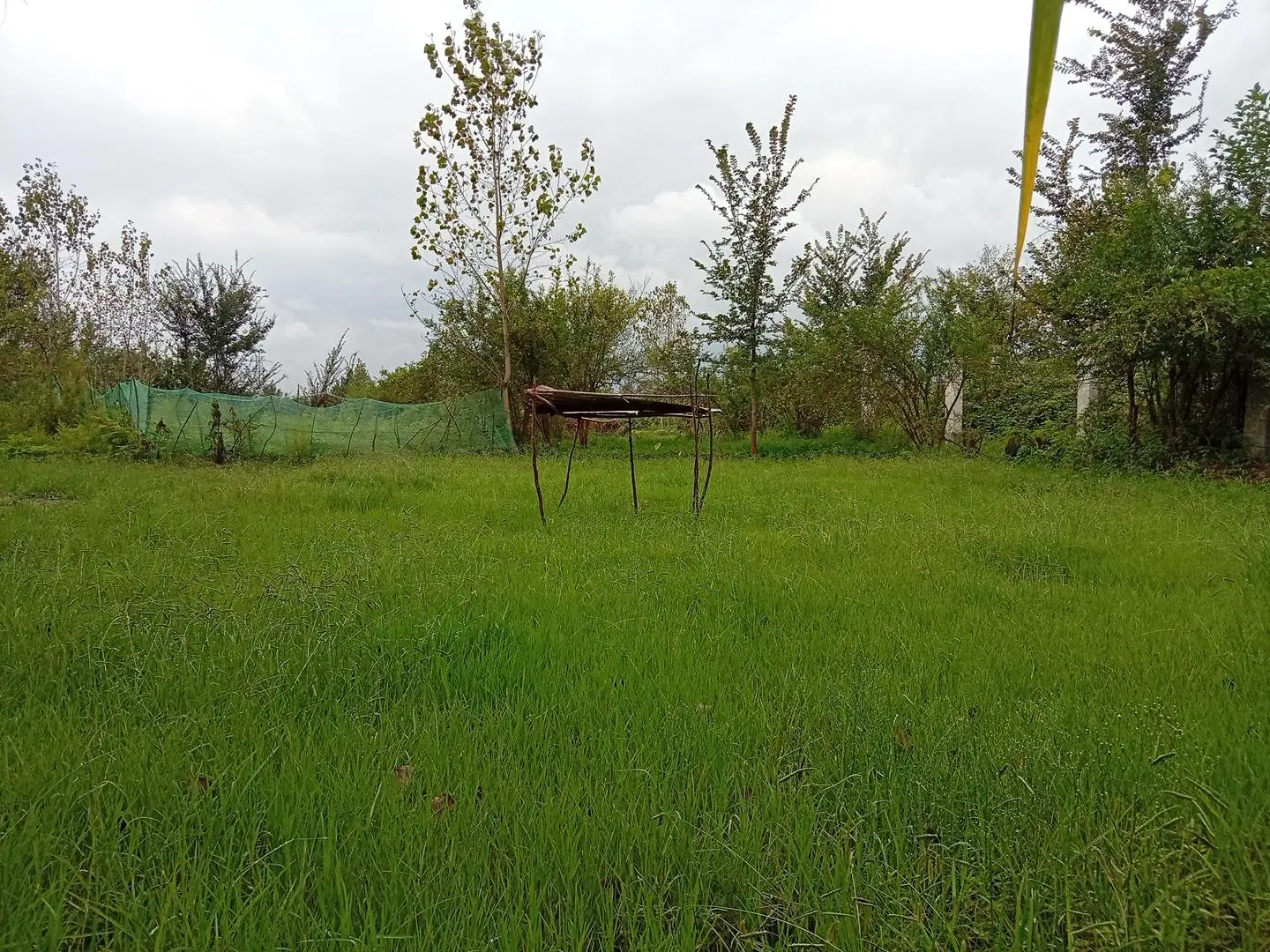 تصویر املاک 133937