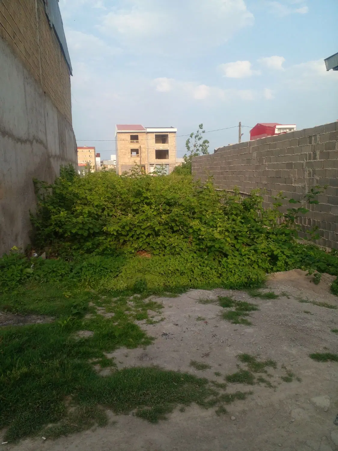 تصویر املاک 53484