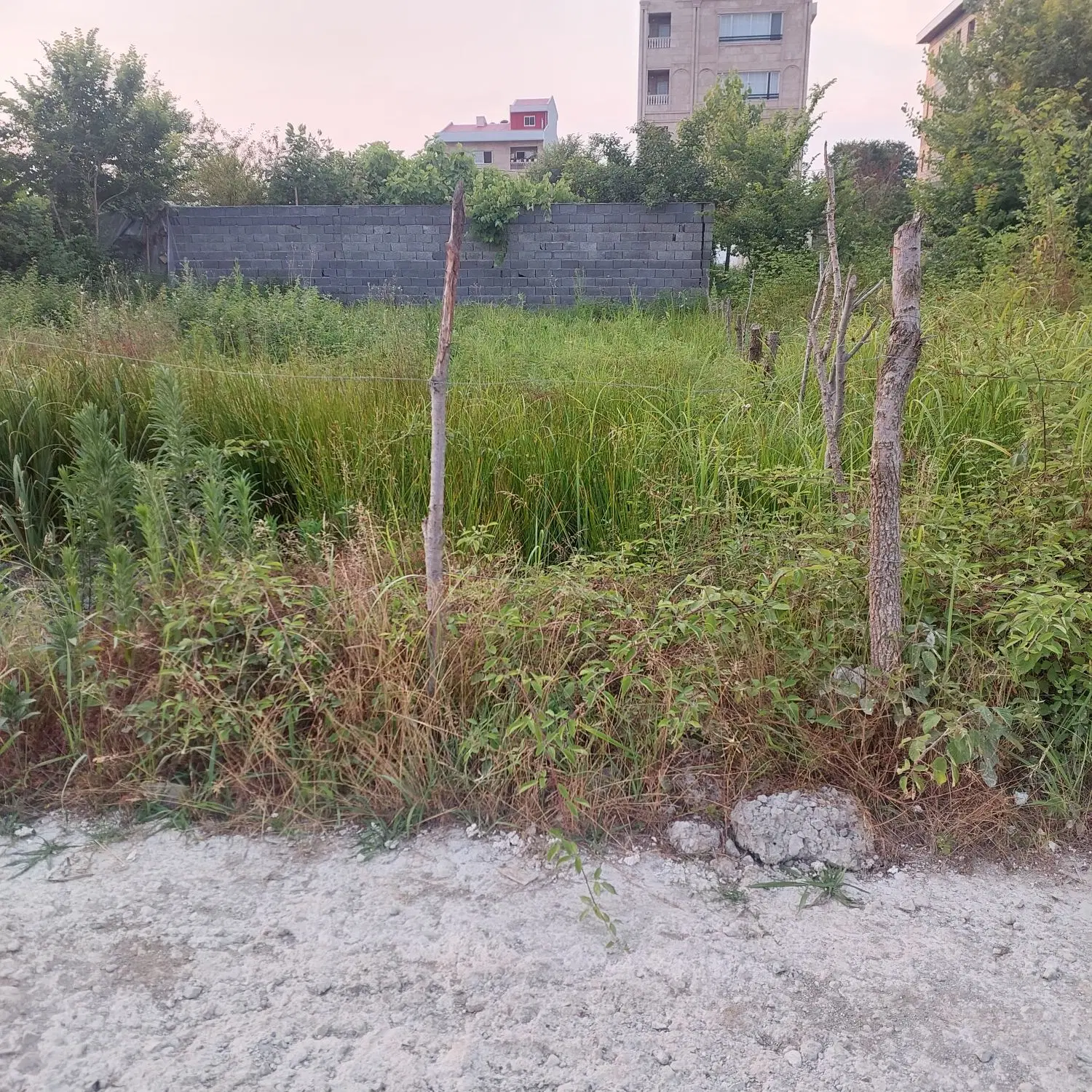 تصویر املاک 53135