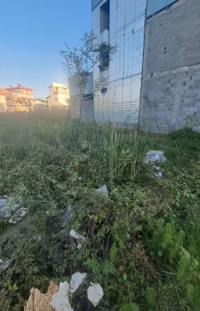 تصویر املاک 1303