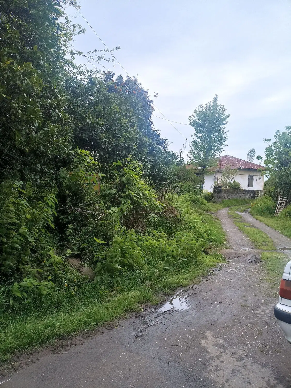 تصویر املاک 45285