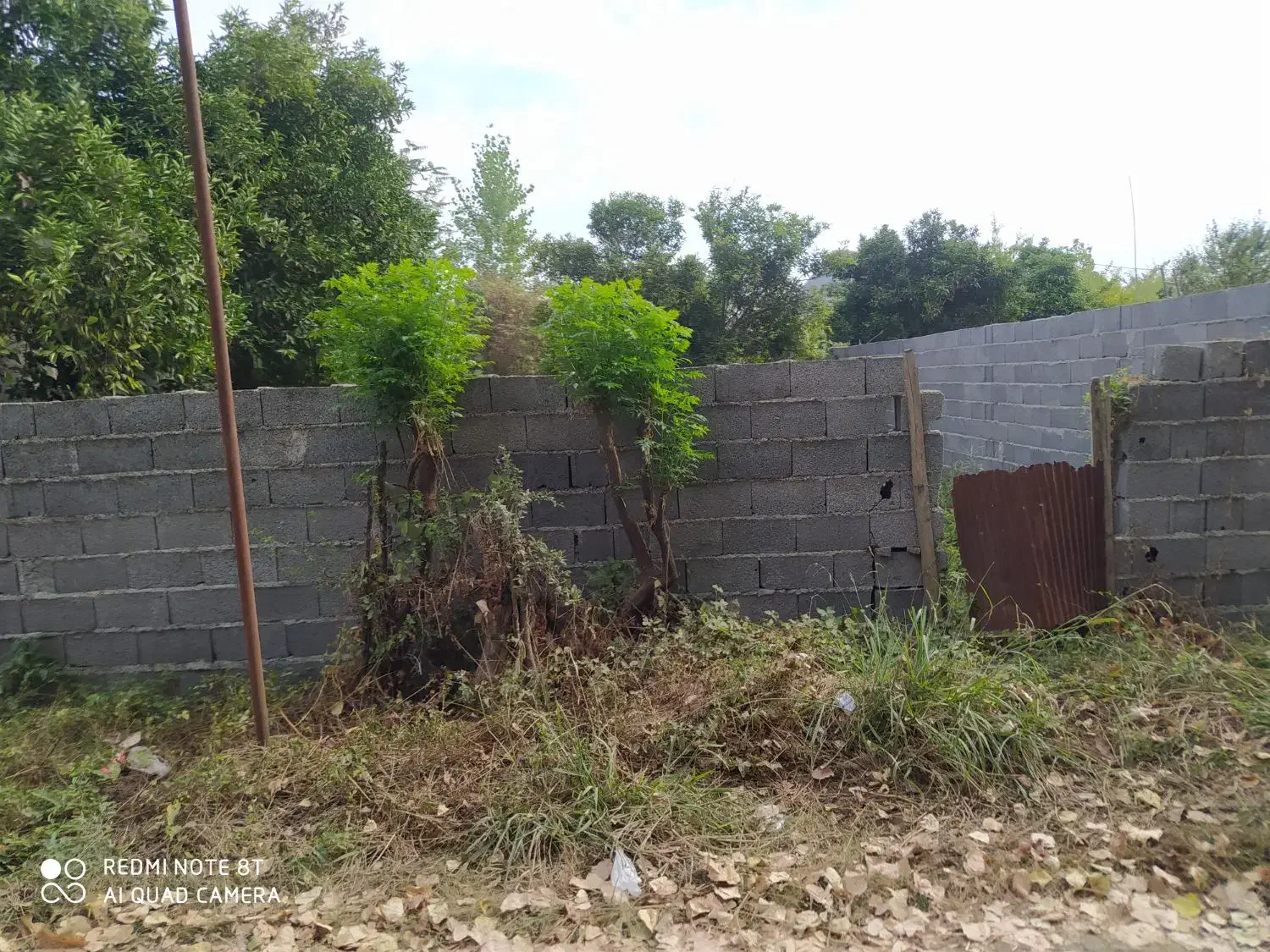 تصویر املاک 12865