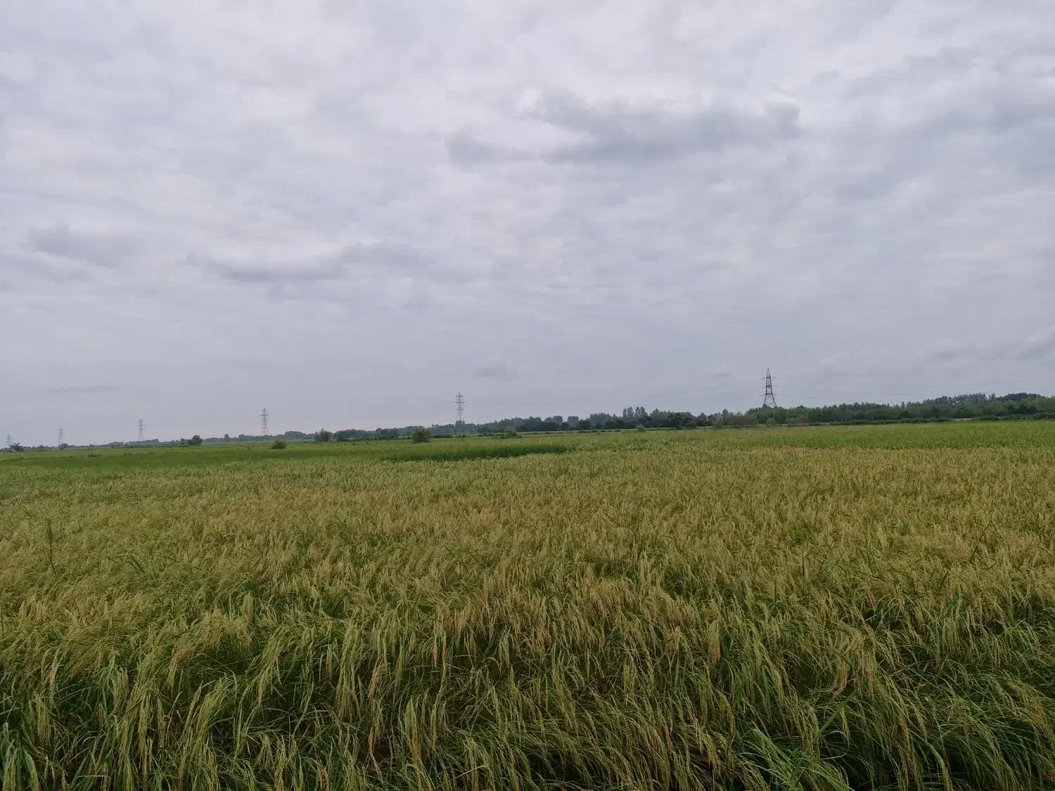 تصویر املاک 36555