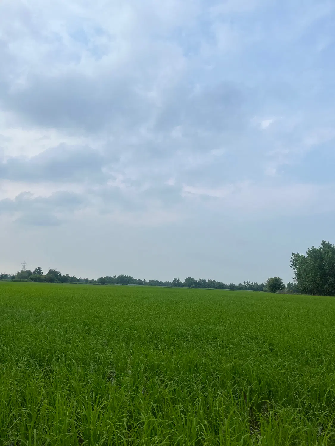 تصویر املاک 87929