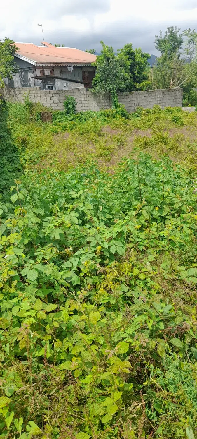 تصویر املاک 44434