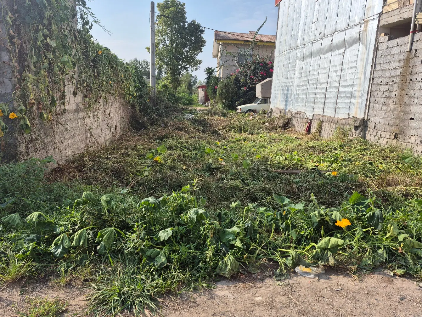 تصویر املاک 57338