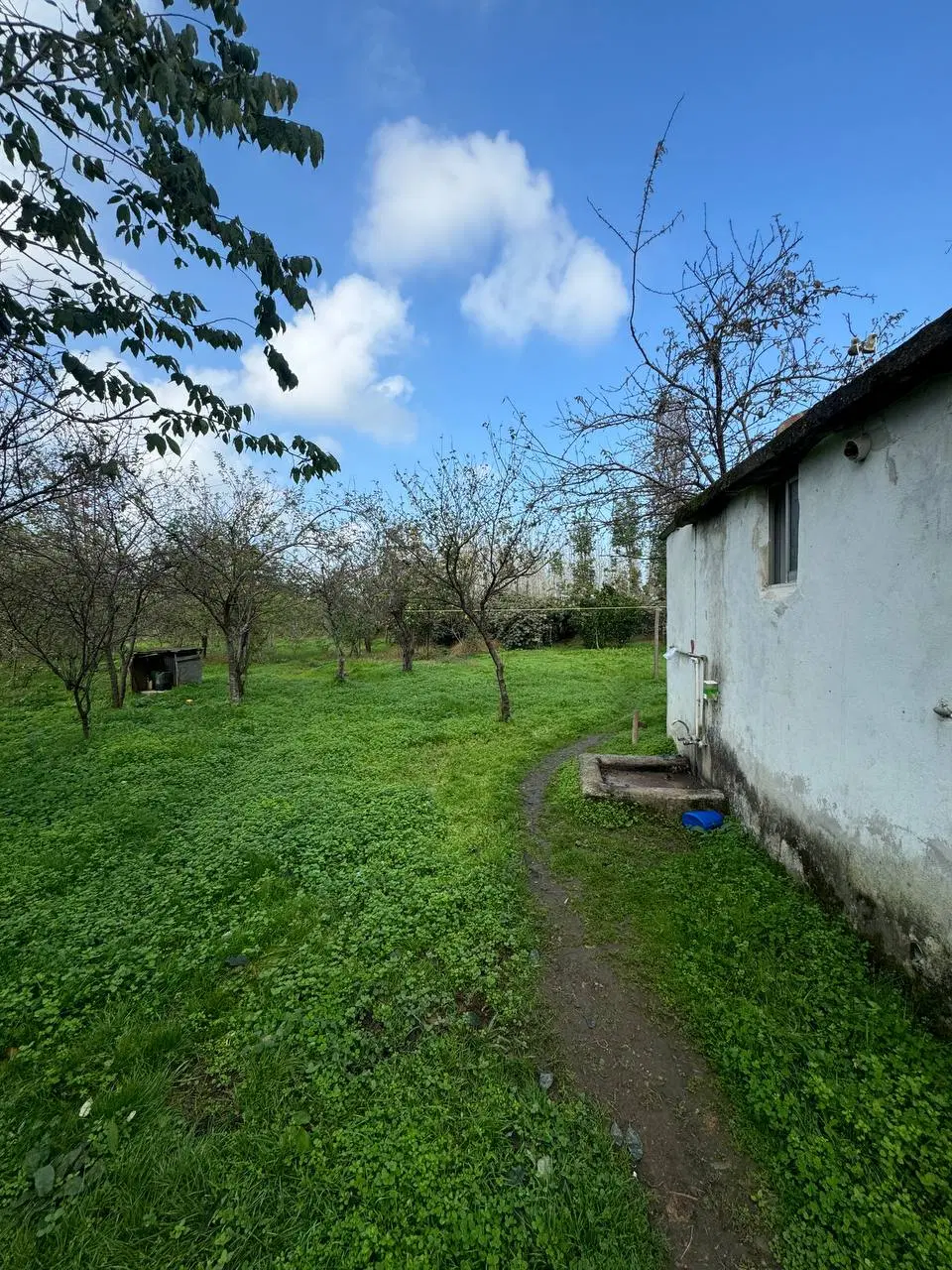 تصویر املاک 45360
