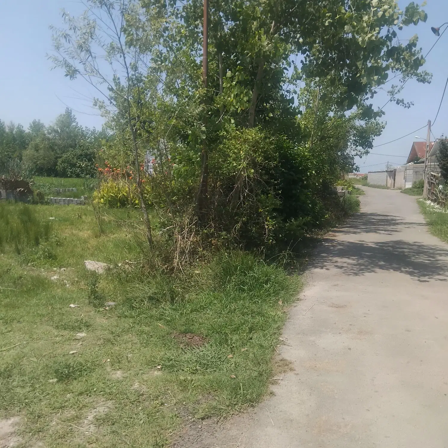 تصویر املاک 74944