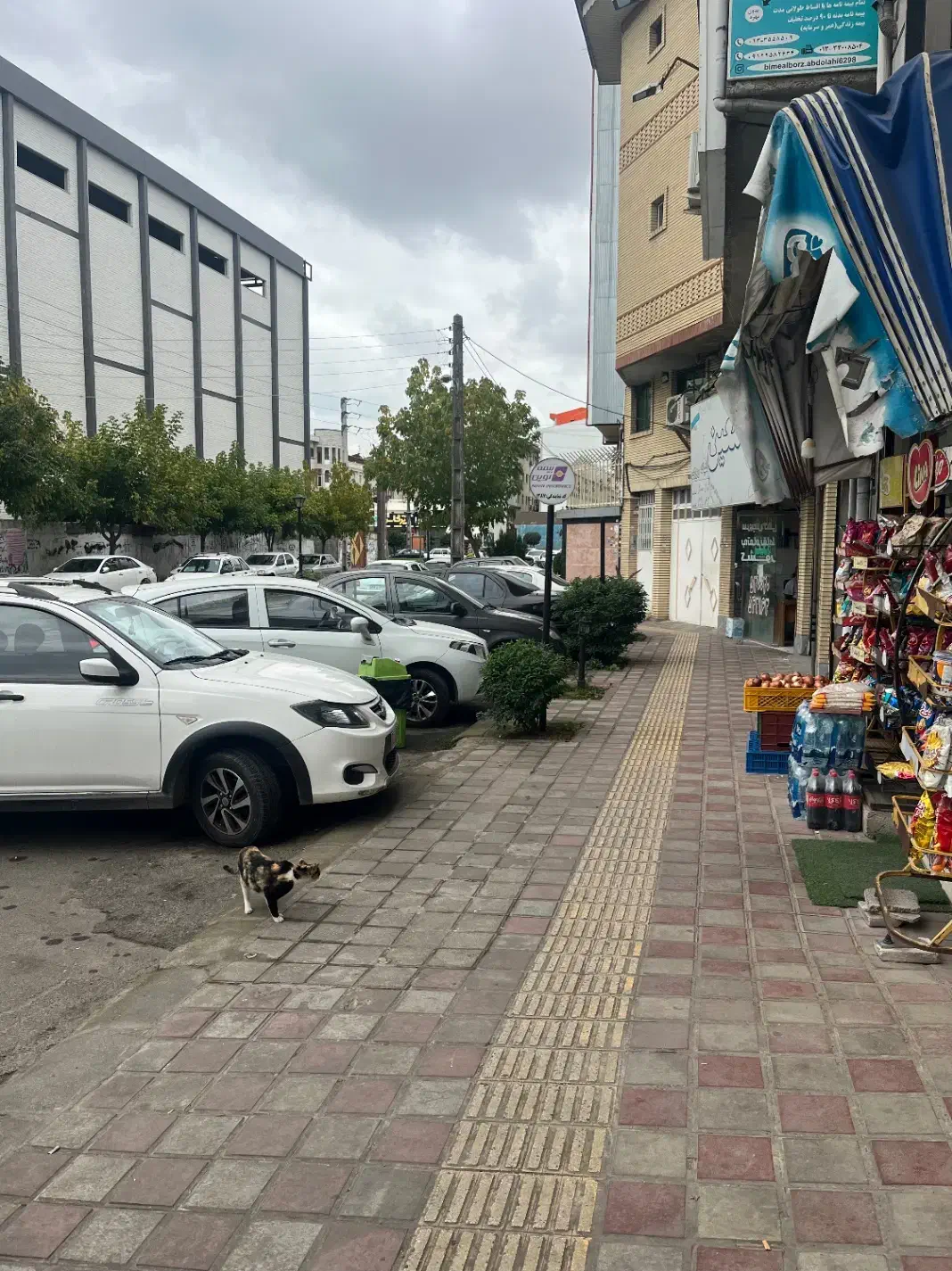 تصویر املاک 7572