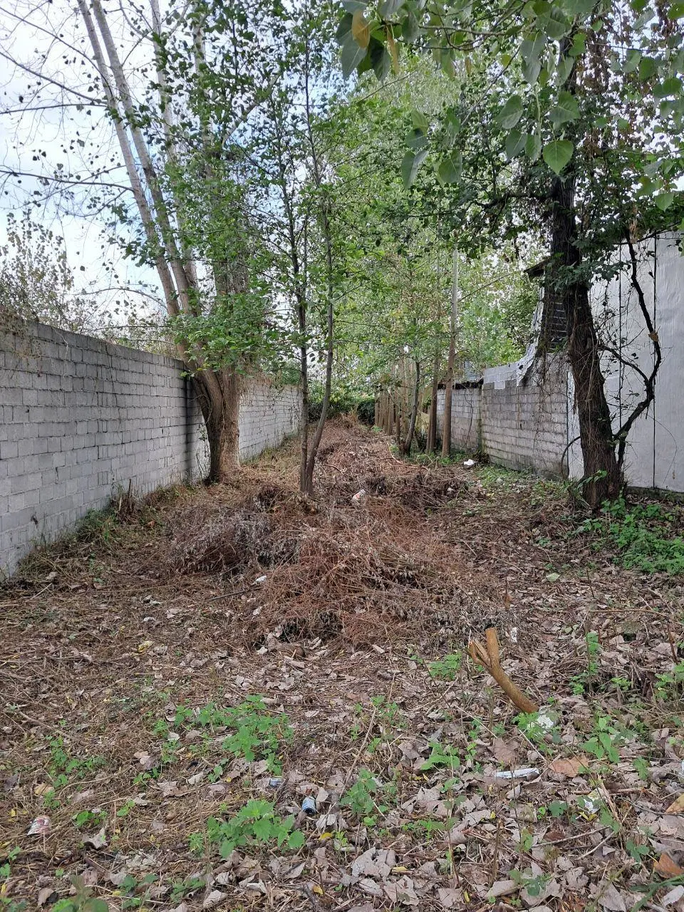 تصویر املاک 134961