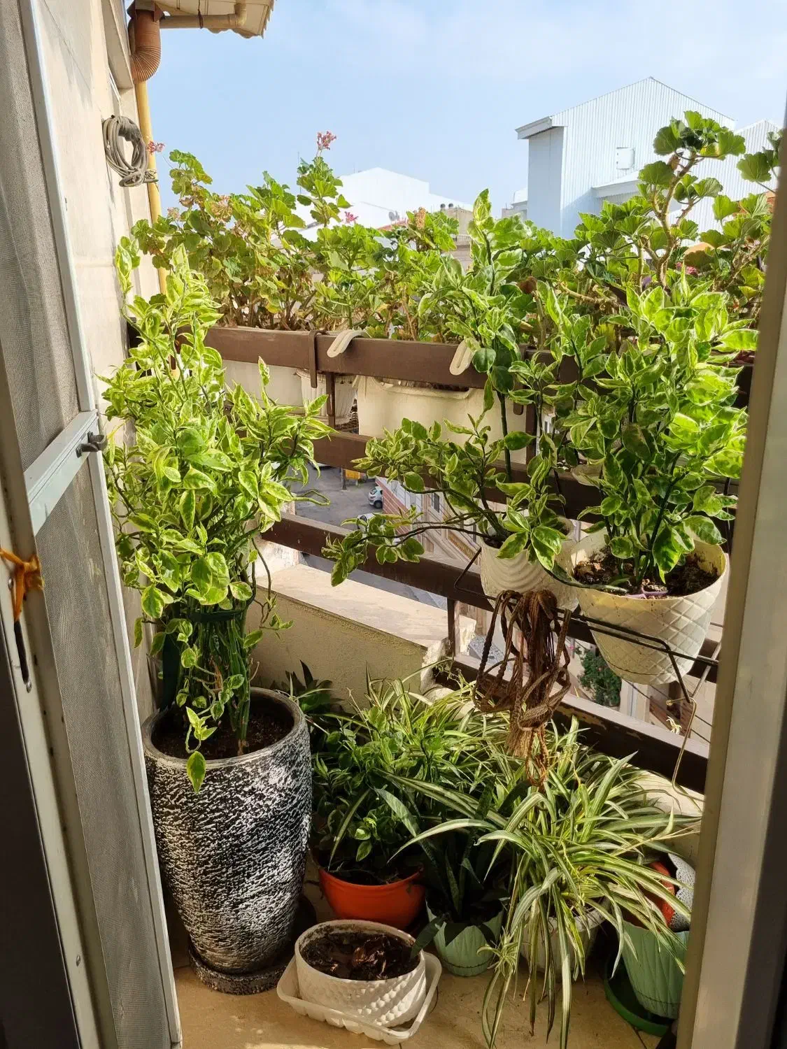 تصویر املاک 6869
