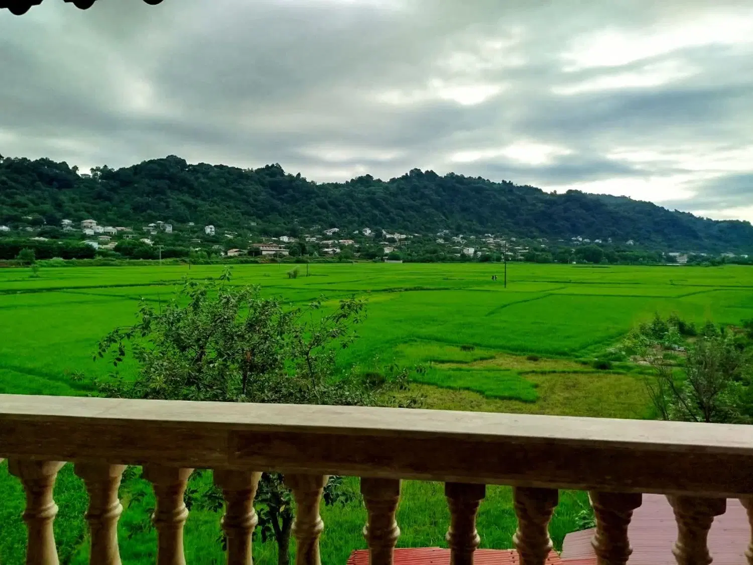 تصویر املاک 71093