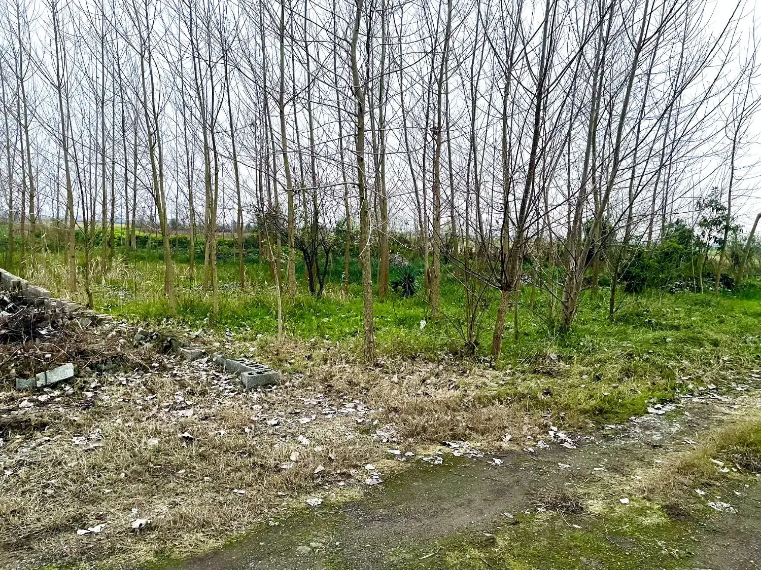 تصویر املاک 34275