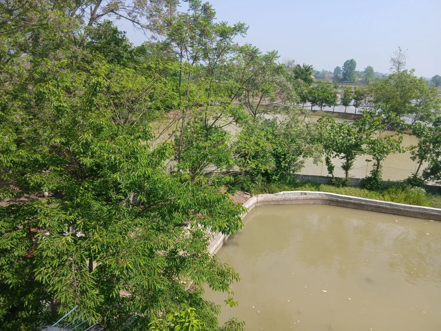 تصویر املاک 131473