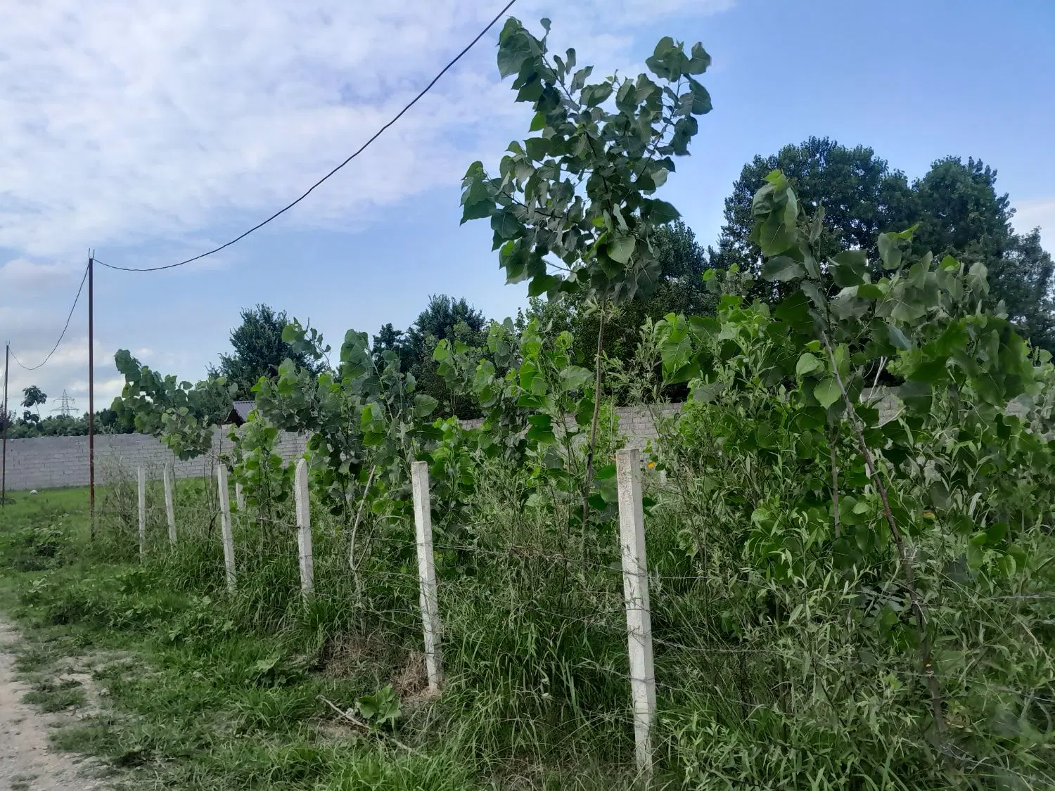تصویر املاک 68614