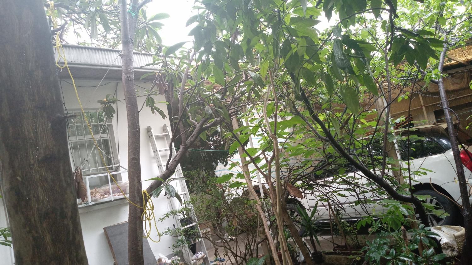 تصویر املاک 13141