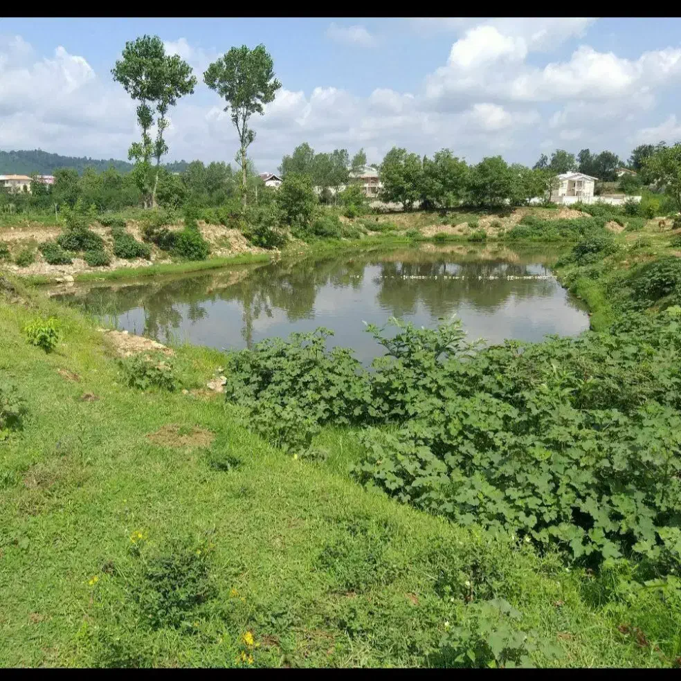 تصویر املاک 37101
