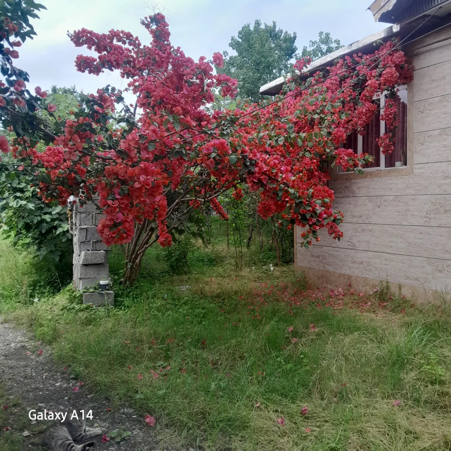 تصویر املاک 104532