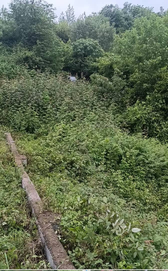 تصویر املاک 1803