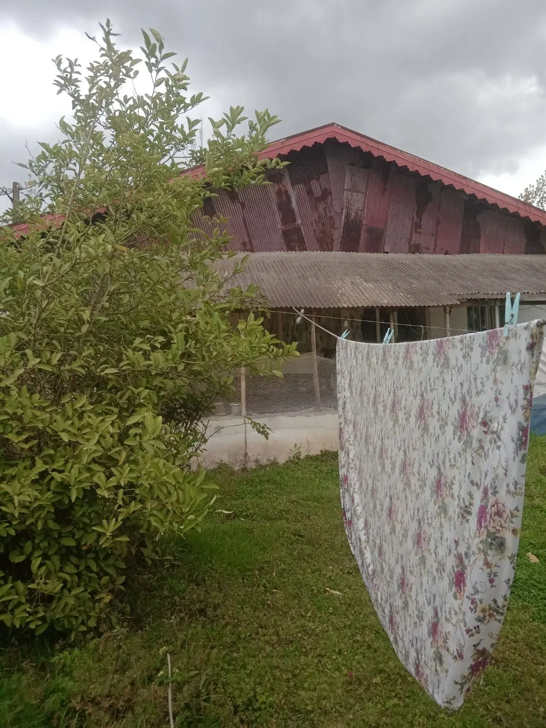 تصویر املاک 71444