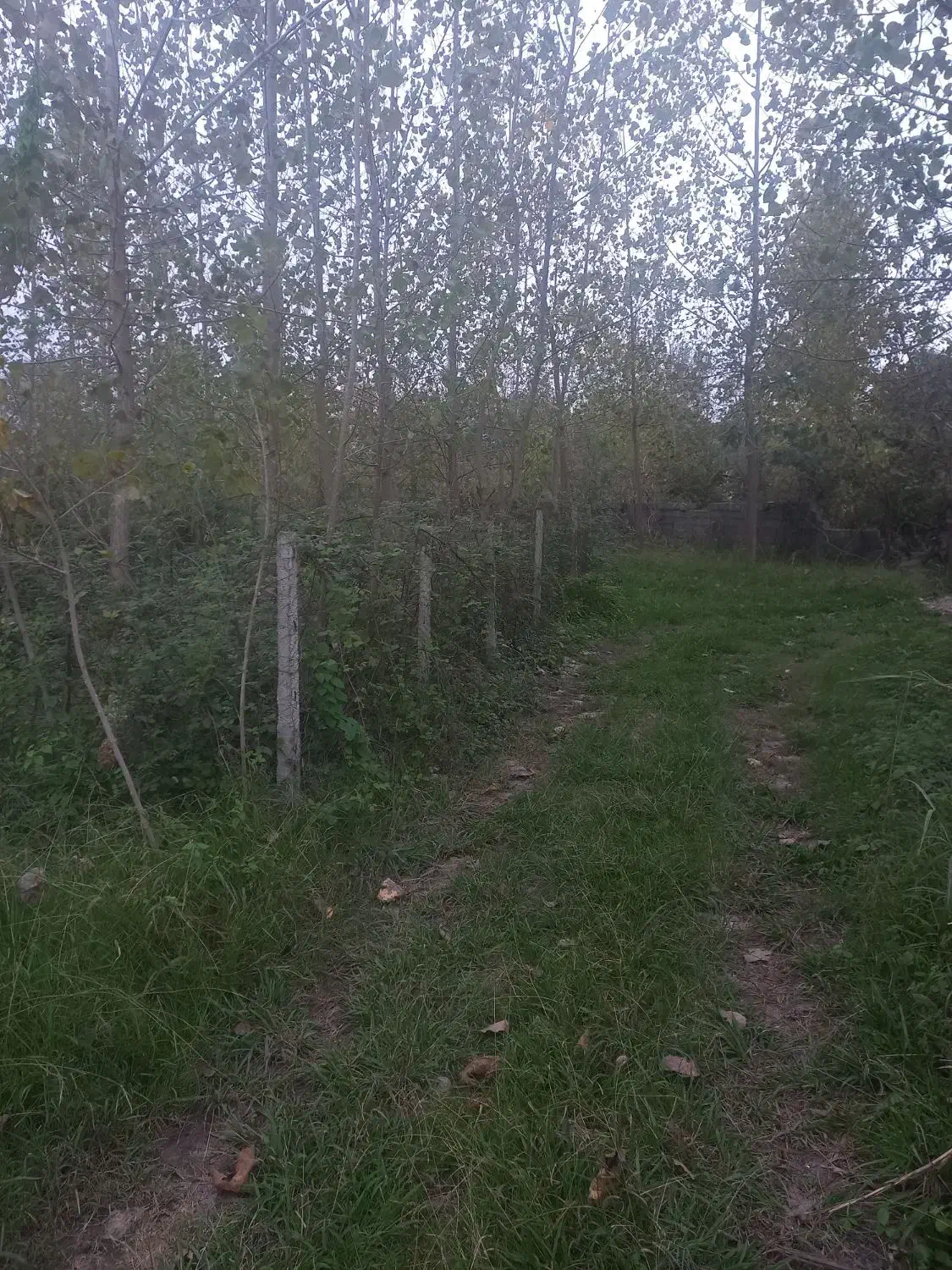 تصویر املاک 14846