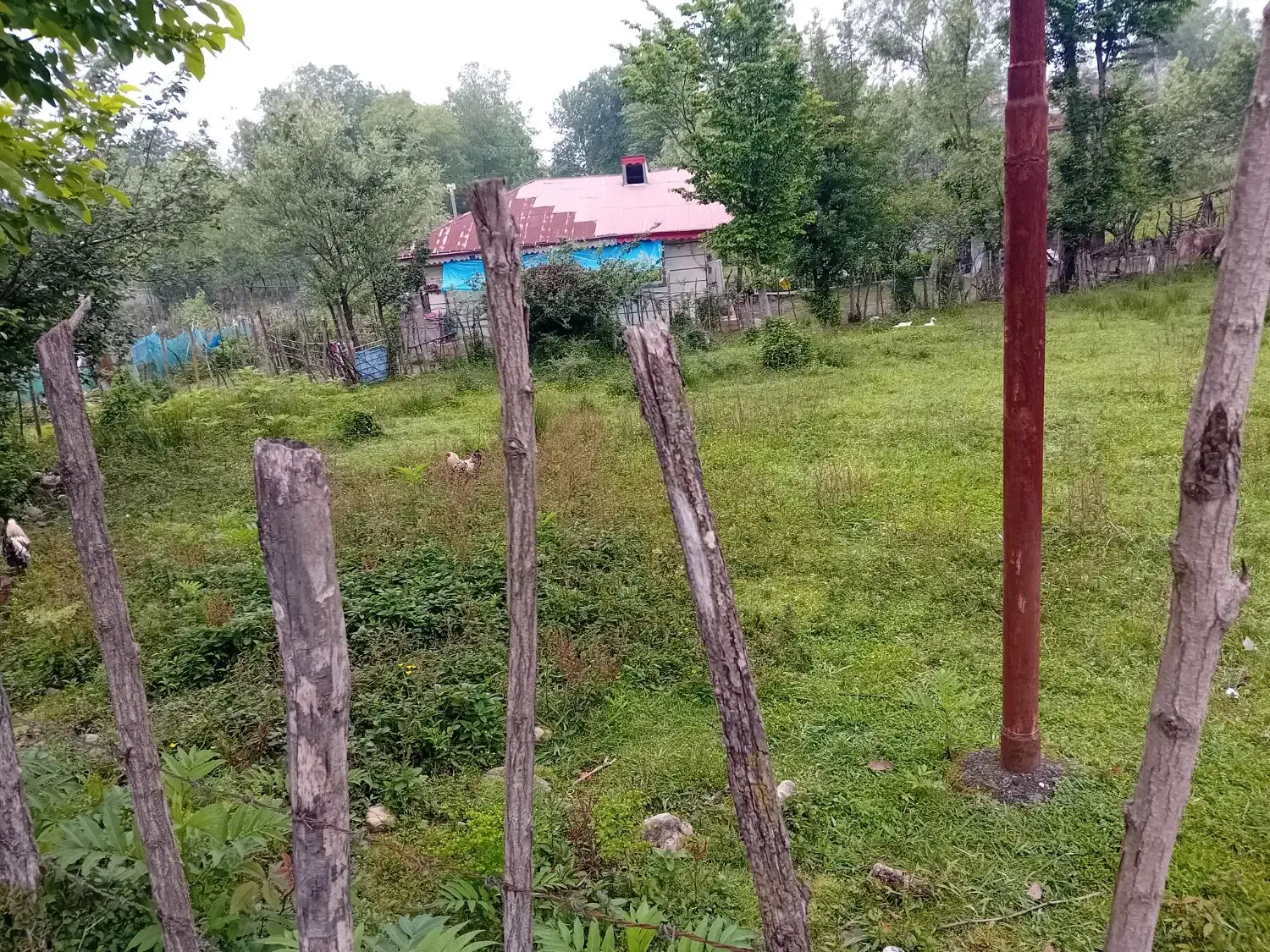 تصویر املاک 38066