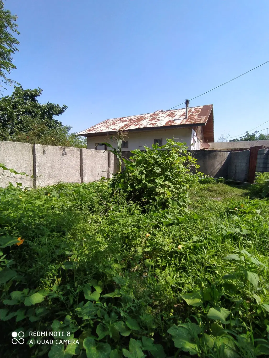 تصویر املاک 109550