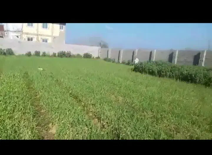 تصویر املاک 23312