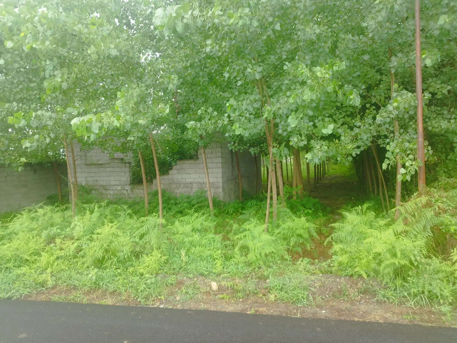 تصویر املاک 134080