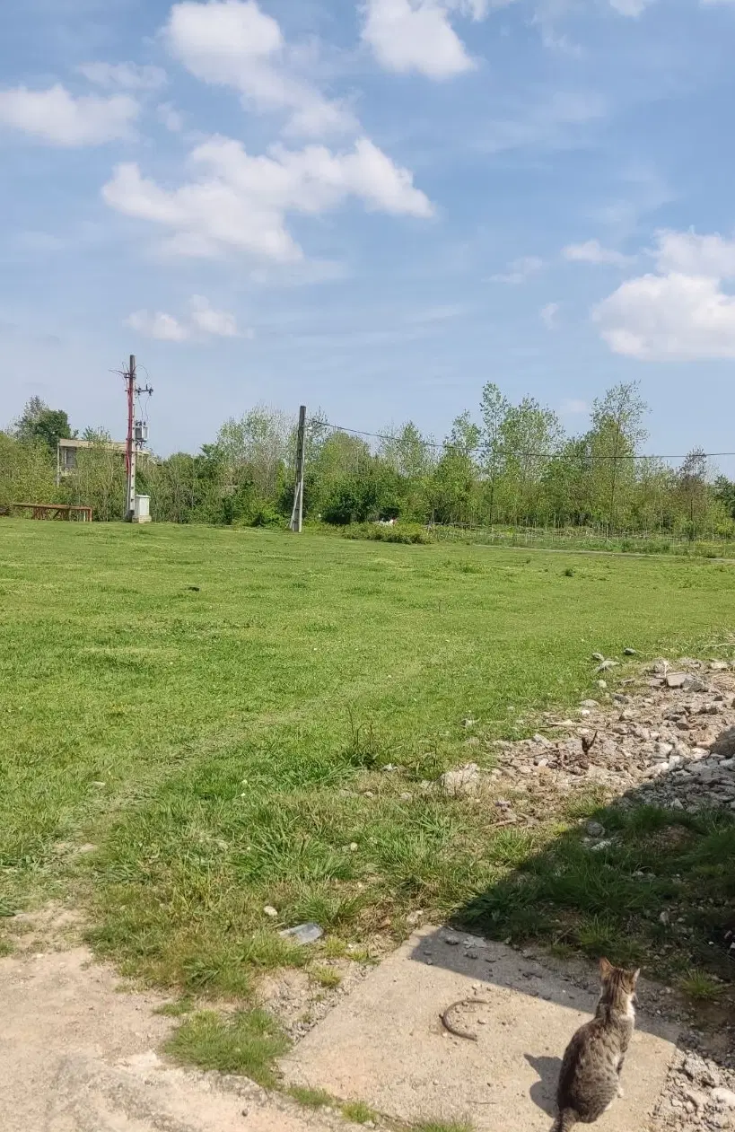 تصویر املاک 128313