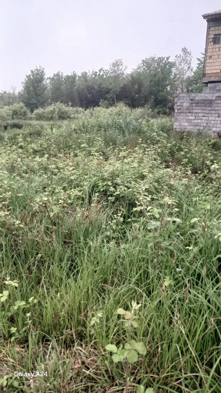 تصویر املاک 36717