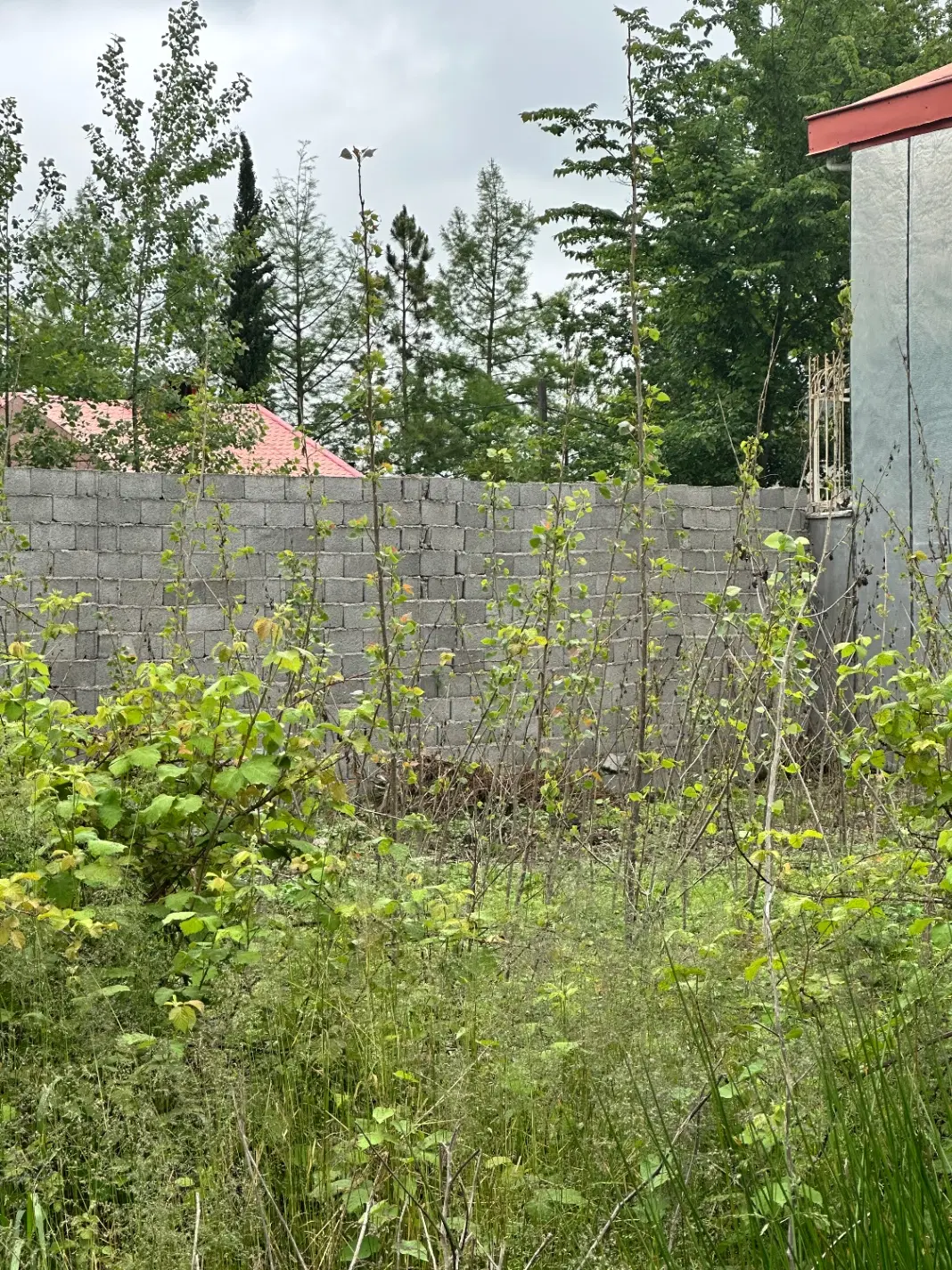 تصویر املاک 94138