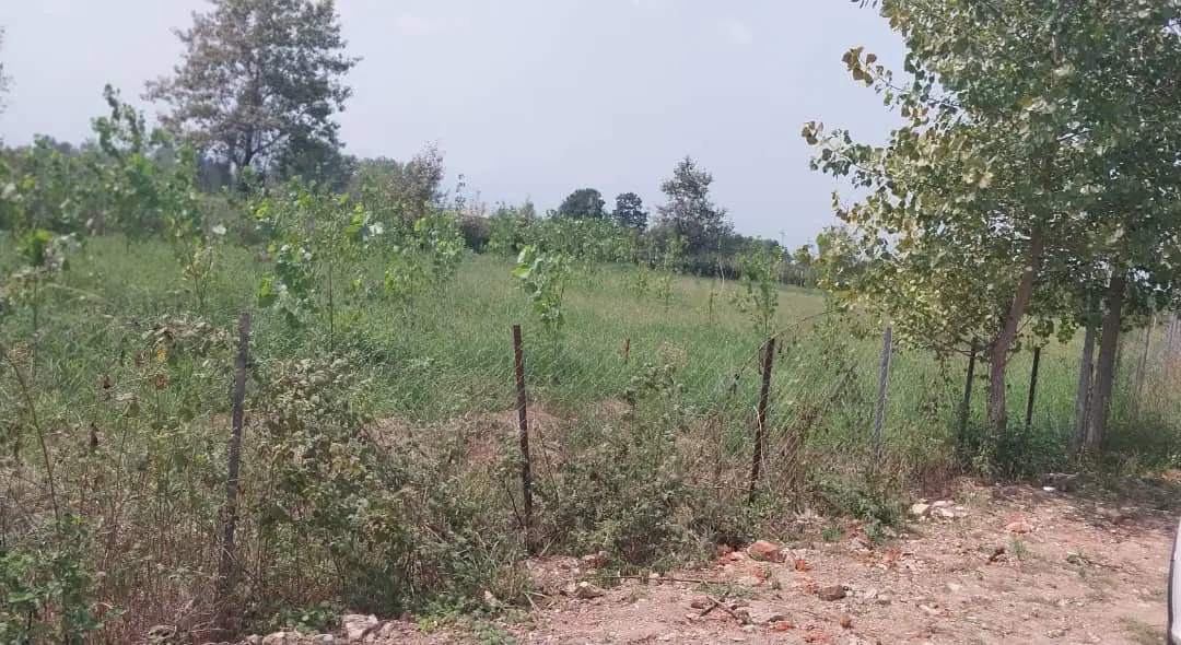 تصویر املاک 110453