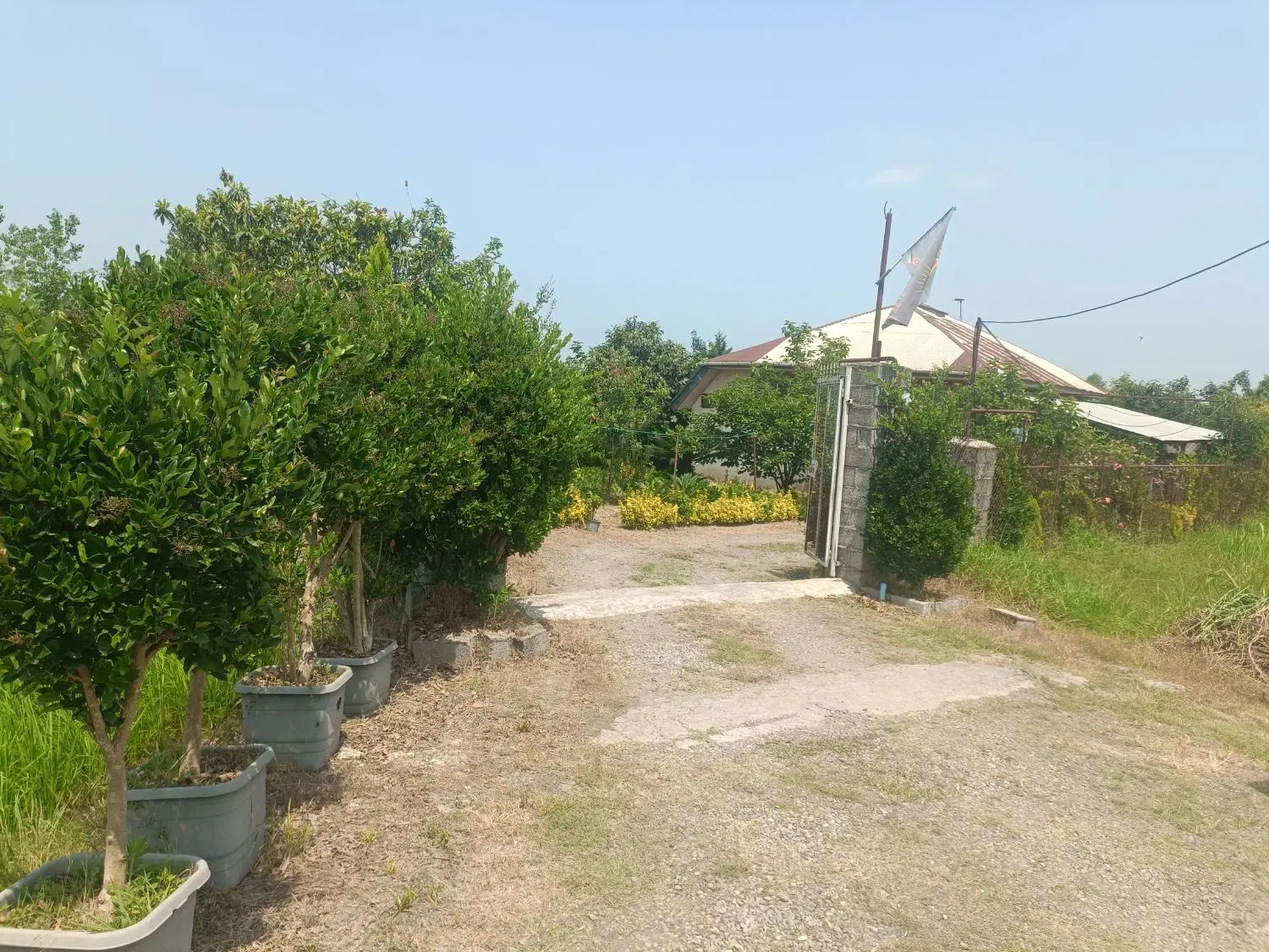 تصویر املاک 85840