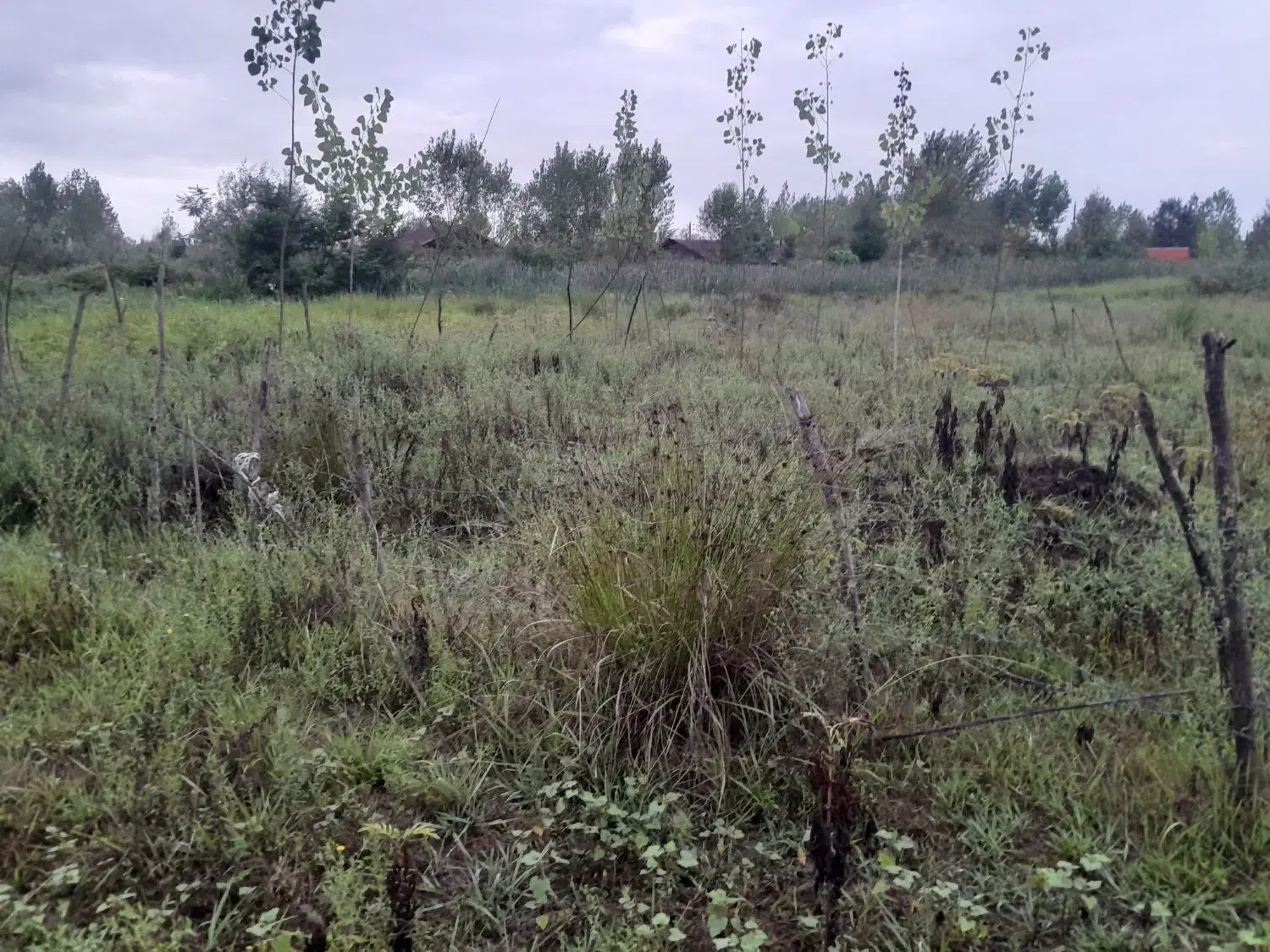 تصویر املاک 78524