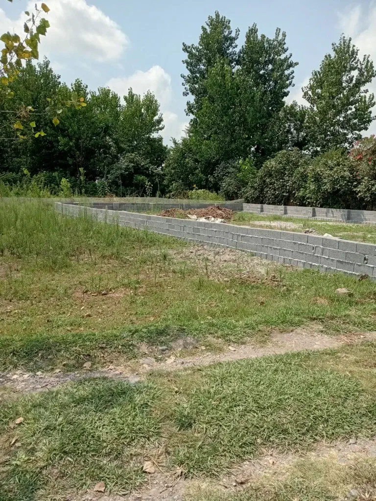 تصویر املاک 142181
