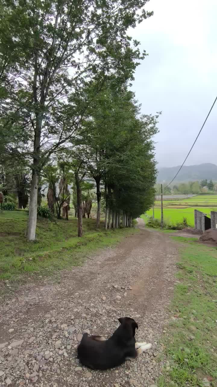 تصویر املاک 138848