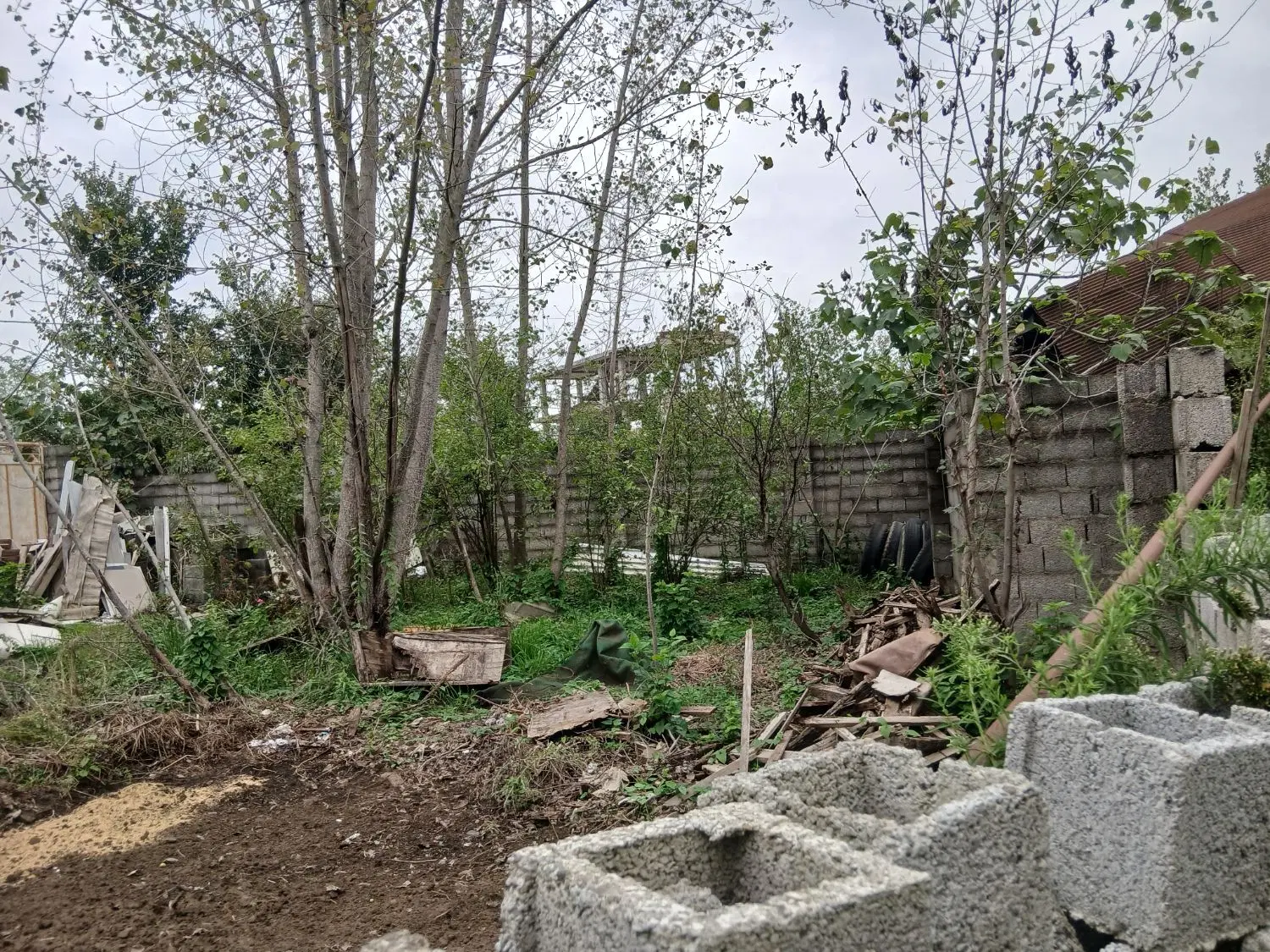 تصویر املاک 66352