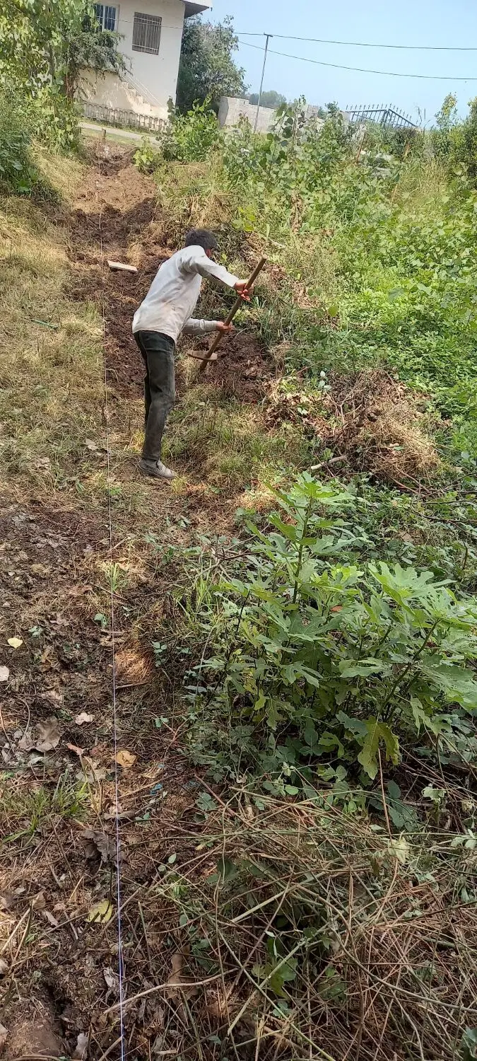 تصویر املاک 126418