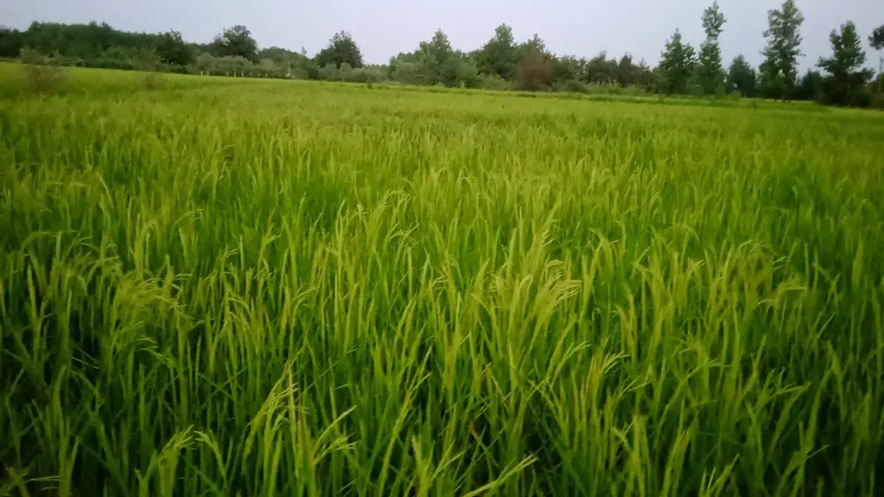 تصویر املاک 90870