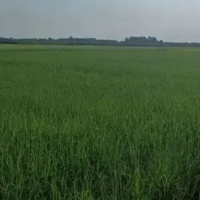 تصویر املاک 131966