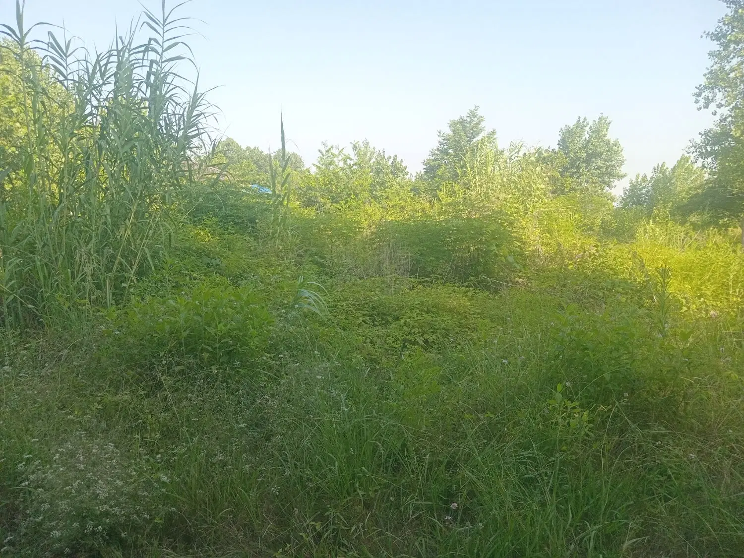 تصویر املاک 82833